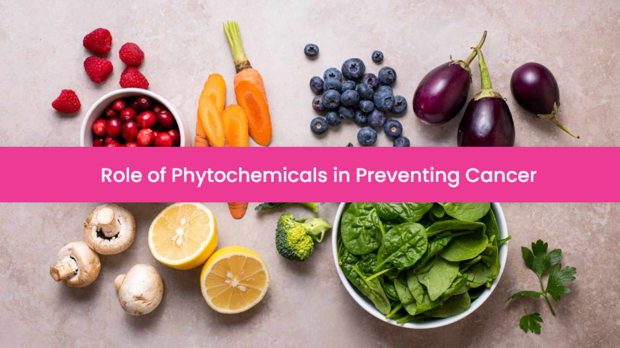 The Role of Phytochemicals in Preventing Cancer: An In-Depth Look – nuQare